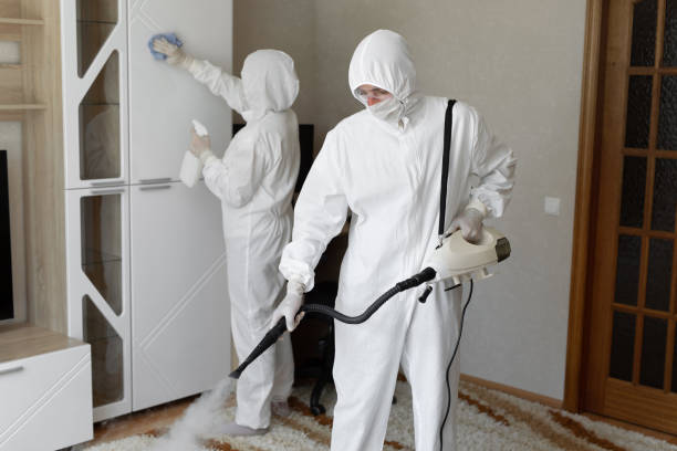 Best Attic Mold Removal  in Shively, KY